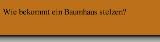 Wie bekommt ein Baumhaus stelzen? 